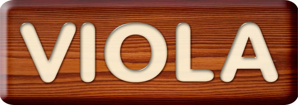 viola 2017.jpg viola 2017.jpg